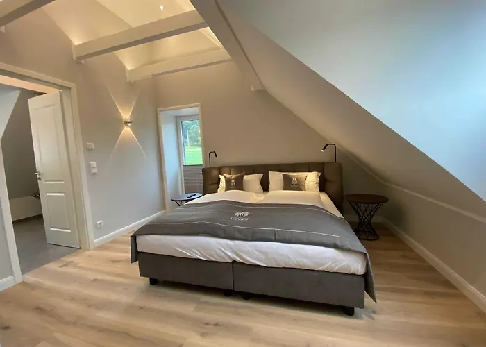 Driehof Lifestyle Suite Apt 1